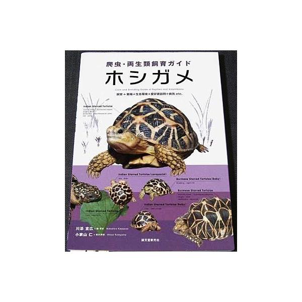 ホシガメ 飼育 繁殖 生息環境 愛好家訪問 病気etc 爬虫 両生類飼育ガイド Buyee Buyee Jasa Perwakilan Pembelian Barang Online Di Jepang