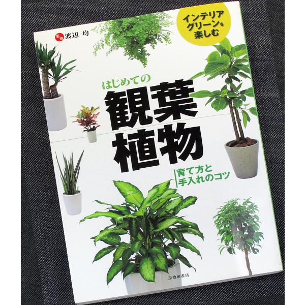 ●はじめての観葉植物-育て方と手入れのコツ｜カラー図鑑 栽培育成ガイド 100種 選び方 培養土 肥料 病害虫対策