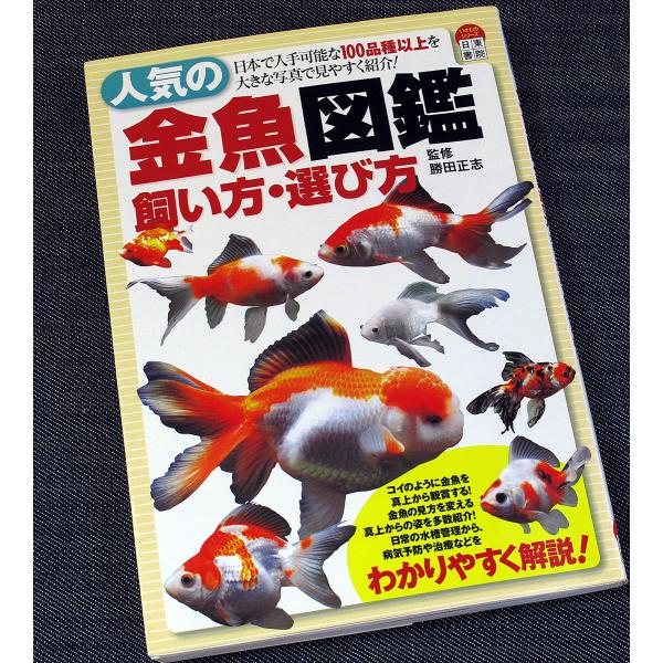 人気の金魚図鑑 飼い方 選び方 7 アールブックス ヤフー店 通販 Yahoo ショッピング