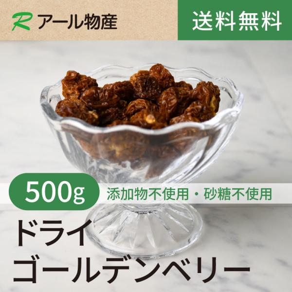 ドライゴールデンベリー(インカベリー)【添加物不使用・砂糖不使用】 500g 【送料無料】 ペルー産 チャック付き（アール物産）
