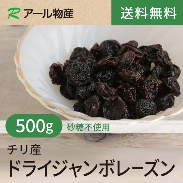 ドライジャンボレーズン【砂糖不使用】 500g 【送料無料】チリ産 酸味少なく甘み強い味わい★  チャック付き（アール物産）