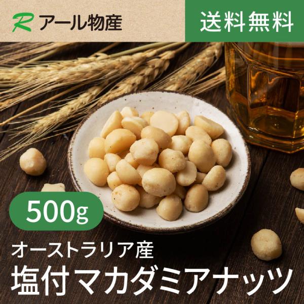塩付マカダミアナッツ(マカデミアナッツ)【添加物不使用】500g【送料無料】オーストラリア産 油不使用 湿気対策 ローストナッツ チャック付き（アール物産）