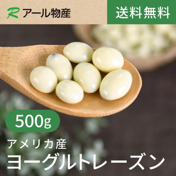 ヨーグルトレーズン500g【送料無料】アメリカ産 チャック付き（アール物産）