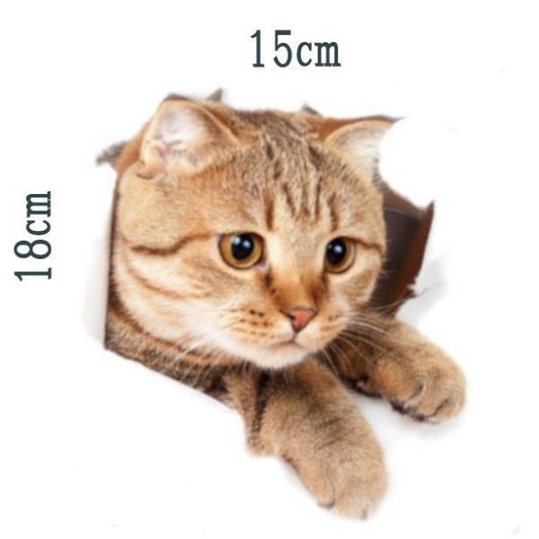 �L�V�[�� �E�H�[���X�e�b�J�[ �g���b�N�A�[�g XP2004