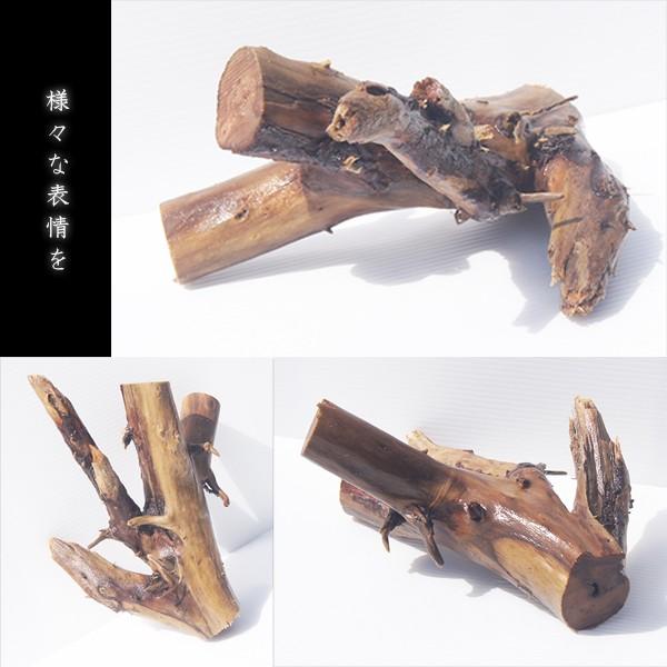 大型流木水槽用アクアリウムレイアウト大型流木一点物 Al167 Buyee Buyee 提供一站式最全面最專業現地yahoo Japan拍賣代bid代拍代購服務