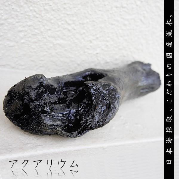 大型 水槽 流木の人気商品 通販 価格比較 価格 Com