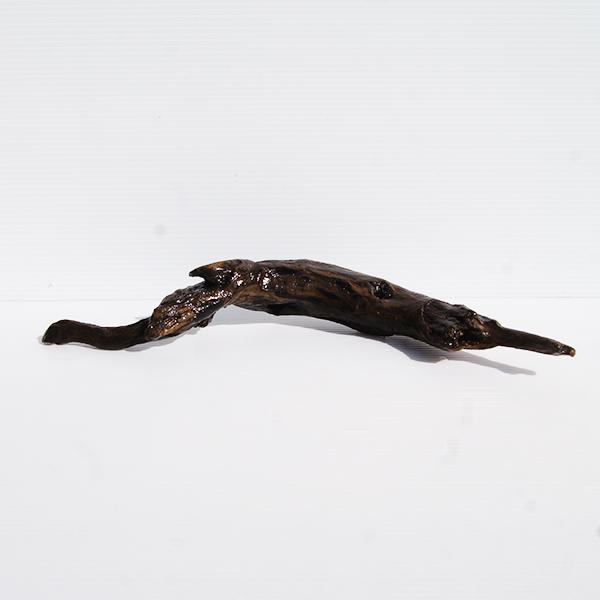 流木 水槽用 アクアリウム レイアウト 大型 木 一点物 Al261 Al261 流木の駅きいろ 通販 Yahoo ショッピング