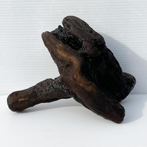 大型 水槽 流木の人気商品 通販 価格比較 価格 Com