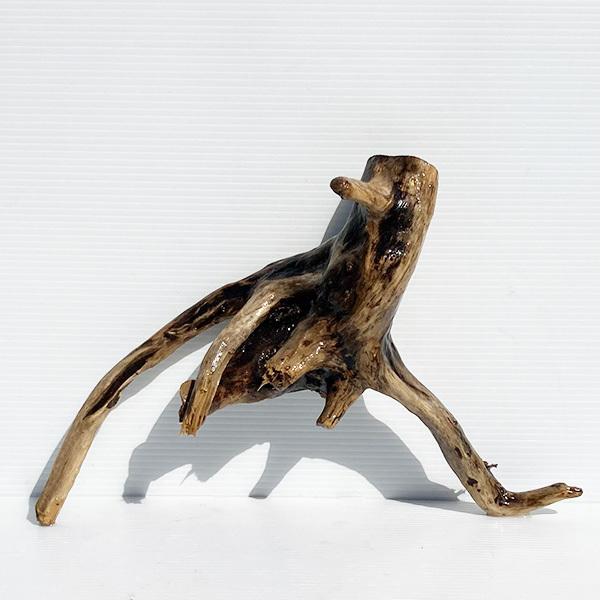 流木 あく抜き アクアリウム レイアウト 大型 一点物 Al324 流木の駅きいろ 通販 Yahoo ショッピング