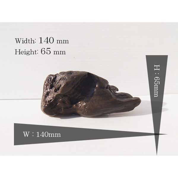 水槽用レイアウト用品 流木の人気商品 通販 価格比較 価格 Com