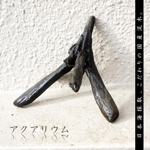 流木 アクアリウム 水草 インテリア 水槽 天然 熱帯魚 As50 Apaproduction Fr