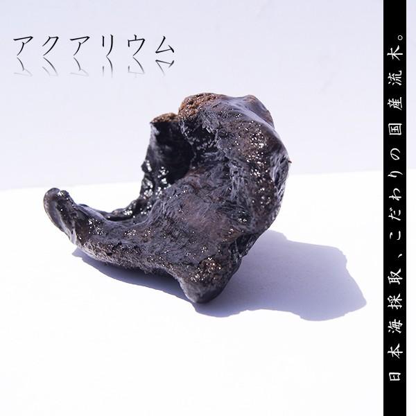 流木 アクアリウム 水草 インテリア 水槽 天然 熱帯魚 As64 Buyee 日本代购平台 产品购物网站大全 Buyee一站式代购 Bot Online