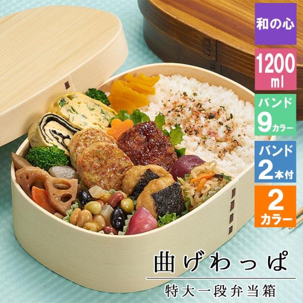 曲げわっぱ わっぱ弁当箱 弁当箱 お弁当箱 まげわっぱ 1200ml セット 大人 かわいい おしゃれ ゴム 仕切り 1段 遠足 運動会 軽量 女子