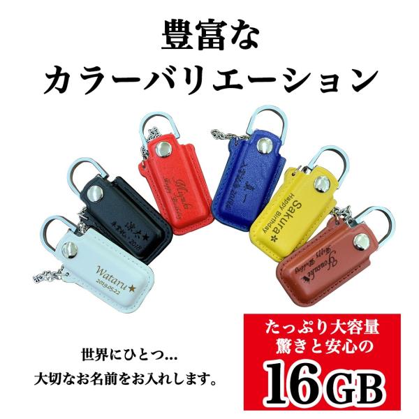 クリスマス メール便送料無料 Usbメモリ 16gb 卒業祝い 記念 就職祝い 送別会 カラーレザーカバー付 Usb 名入れ ギフト 入学祝い Buyee Buyee Japanese Proxy Service Buy From Japan Bot Online
