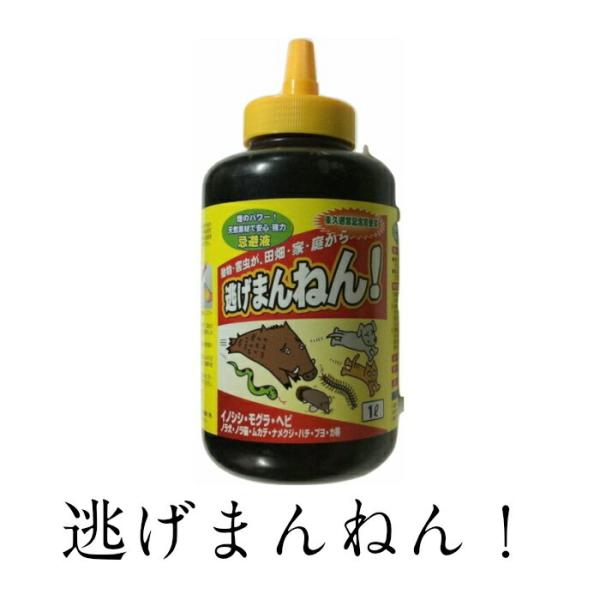 逃げまんねん! 1000ml おすすめ
