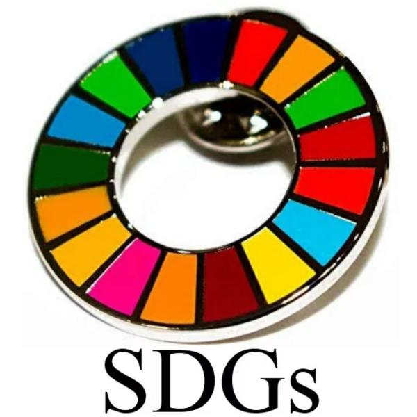 【正規販売店】 SDGs 国連 17色 ピンバッジ バッジ バッチ バッヂ 襟章 留め具 日本未発売 1個 おすすめ