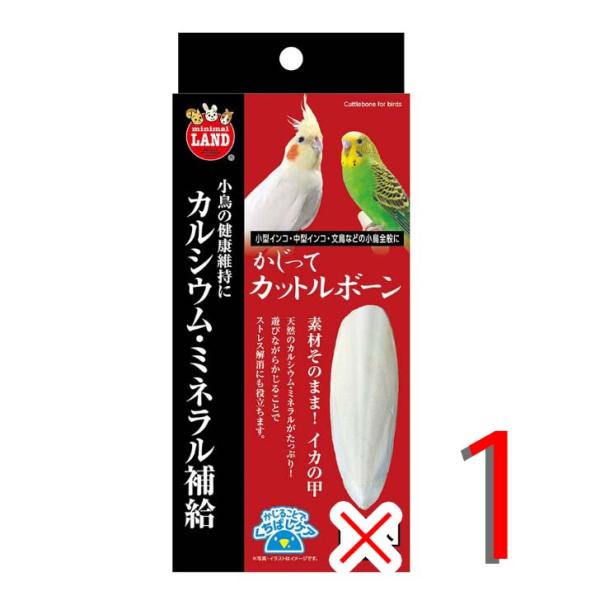 他サイト： マルカン かじってカットルボーン 2個入 取り付け金具1個付き 小鳥 フード 洋鳥 小型インコ 中型インコ 文鳥 オウム MB-307の商品画像