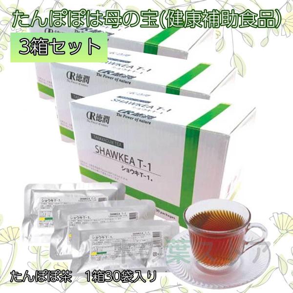 タンポポ茶 ショウキT−1 90袋 (30袋×3箱) ショウキT1 : くらし