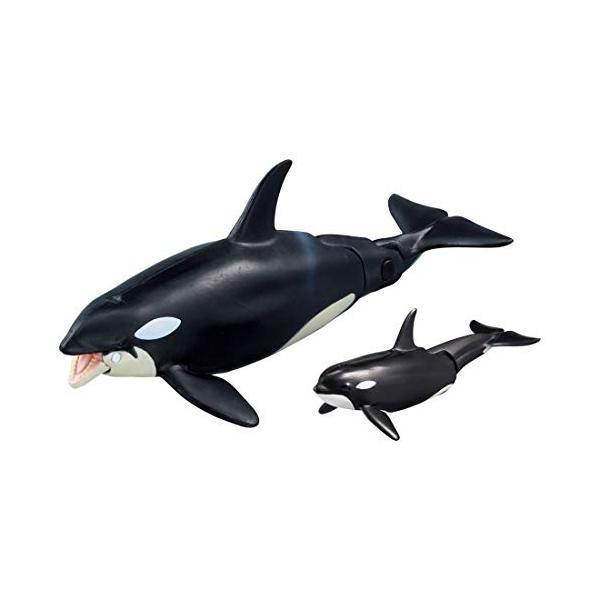 他サイト： タカラトミー(TAKARA TOMY) アニア AL-08 シャチ親子 (水に浮くVer.) 動物 恐竜 おもちゃ 3歳以上の商品画像