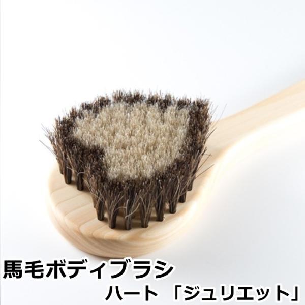 A[guV nт̃{fBuV n[g WGbg (A[guV Ki {fBuV { uV  Art brush n {fB[uV)