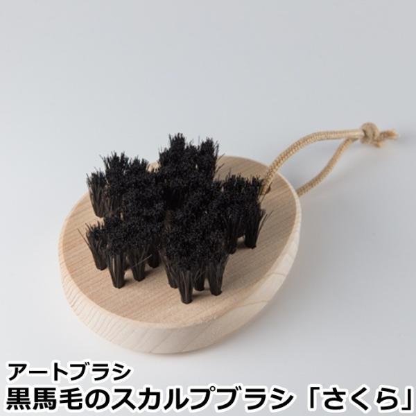 nт̃XJvuV  󑐃A[guV ( A[guV RpNg XJvuV nуuV)