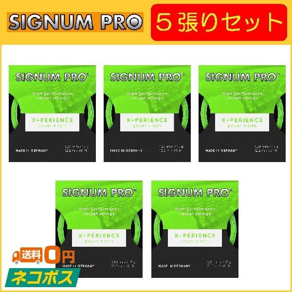 SIGNUM PRO VOiv X-PERIENCE GNXyGX 5Zbg  dejXpKbg