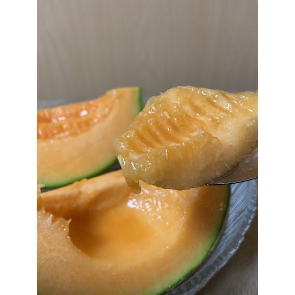 マルセイユメロン　島原風香　2Lサイズ 4玉 赤肉メロン マルセイユメロン 島原風香 2Lサイズ 4玉 赤肉メロン 島原風香 2玉