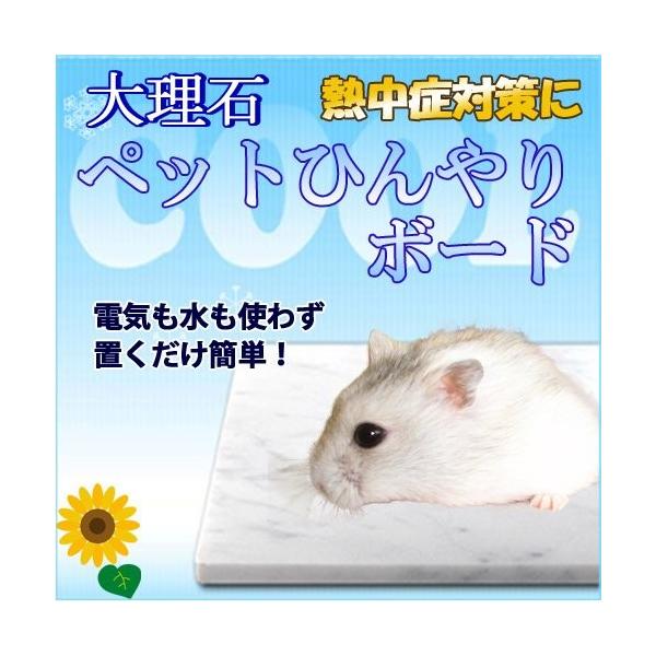 大理石でペットひんやりマット冷却タイルハムスター用 14 10ｃｍ 熱中症 暑さ対策 イタリア産白大理石 Giodental Es