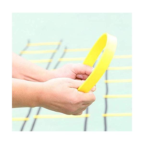 Alsky ラダー トレーニング スポーツ アジリティ トレーニングラダー 6m プレート12枚 収納袋付き スピードラダー Apaproduction Fr