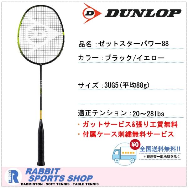 [新品]DUNLOP バドミントンラケット 31kOMbKi0eL.jpg_BO30,255,255,