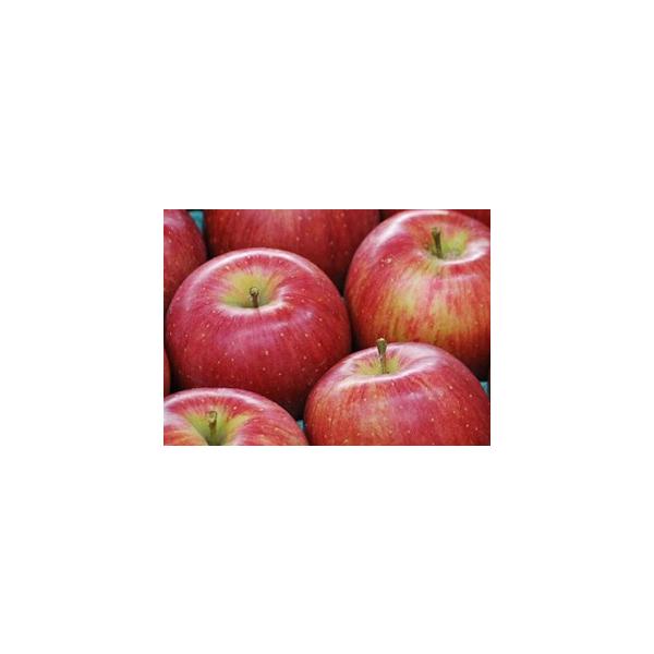 Y ʎ̓ʍ͔|  VimXC[g Tkg(18`22ʑO) Aiyʌzy(kCEBEE)z