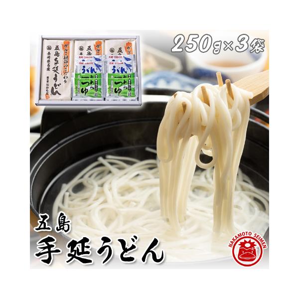 五島うどんセット スープ・めんつゆ付き 250g×3 うどんギフト うどん 乾麺 プチギフト 父の日 御中元 お歳暮 ギフト 食品 送料無料