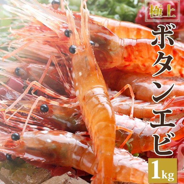 1kg 500g 2 極上 最高級特大ボタン海老子持ち えび エビ 海老 ぼたんえび ボタンエビ 刺身 バーベキュー 御中元 家族 祝い誕生日御中元 Buyee 日本代购平台 产品购物网站大全 Buyee一站式代购
