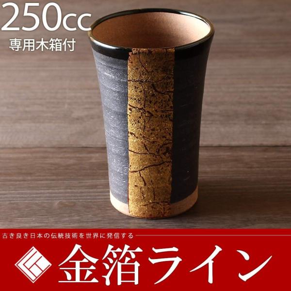 rAJbv@250cc C |Ď v[g   җj ސEj j 蕨 yA vw a v[g Ê  j|