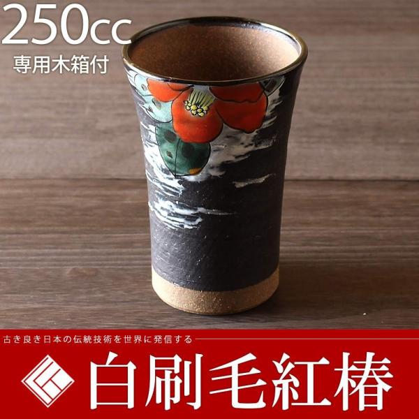 rAJbv250cc эg |Ď v[g   җj ސEj j 蕨 yA vw a v[g Ê  j|