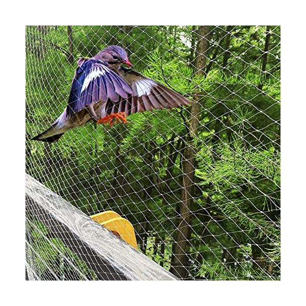 鳥よけ 防鳥ネット 鳩 駆除 田畑 目立たない 園芸 ガーデンネット カラス対策 鳥害対策 防鳥網 果樹 透明色 鳥よけグッズ メッシュ 猫脱走防止 25mm目 目隠し ナイロン カラスよけ 虫鳥除け網 バードネット 緑 防獣ネット ベランダネット 猫よけ 保護 防鳥よけ ベランダ ... 鳥よけ 防鳥ネット 鳩 駆除 田畑 目立たない 園芸 ガーデンネット カラス対策 鳥害対策 防鳥網 果樹 透明色 鳥よけグッズ メッシュ 猫脱走防止 25mm目 目隠し ナイロン カラスよけ 虫鳥除け網 バードネット 緑 防獣ネット ベランダネット 猫よけ 保護 防鳥よけ ベランダ ...
