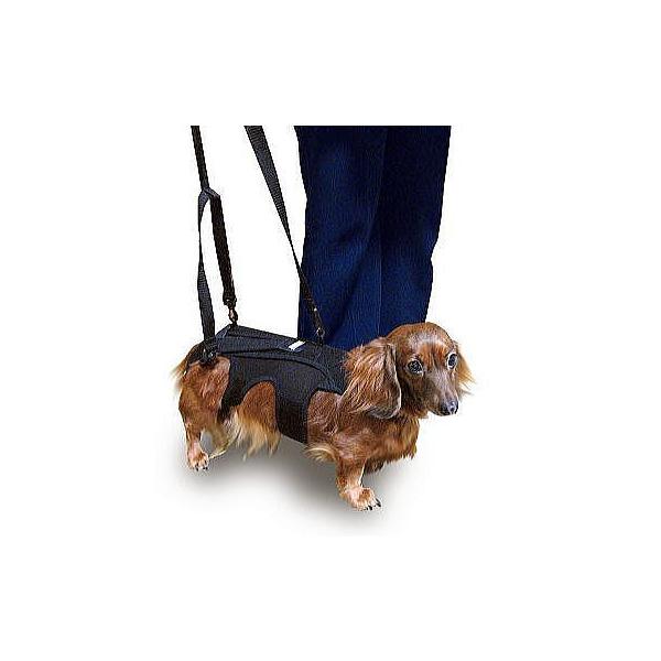 歩行補助 軽量 コンパクト 犬用コルセット わんコル Sサイズ Supersport Tn