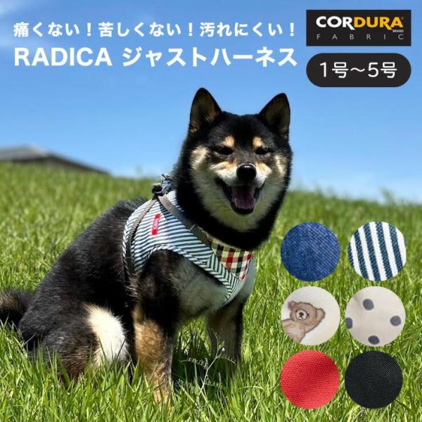 ※販売期間経過後も、継続してまたは、数日中に販売を行う可能性があります。また、価格についても値下げする場合があります。予めご了承下さい。※買い物カゴにないカラー、サイズは全て完売となっております。※サイズ展開： 1号 2号 3号 4号 5号...