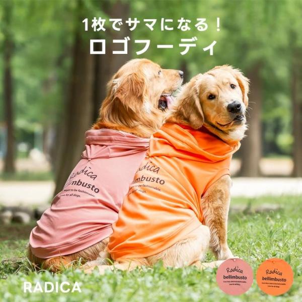 ※サイズ展開： BSサイズ BMサイズ BLサイズ▼▽▼▼▼▼▼▽▼ 【 商 品 詳 細 】 ▼▽▼▼▼▼▼▽▼商品カテゴリ：犬 RADICA 犬服 犬の服 2025 秋 冬 新作かわいい おしゃれ 秋冬 秋用 冬用 男の子 女の子 フード...