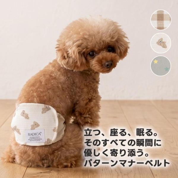 【予約8月19日順次発送】【まとめ買い対象/レビュー対象】犬小型犬 犬用 中型犬用 マナーウェア トイレ用品 介護 パターンマナーベルト  メール便可