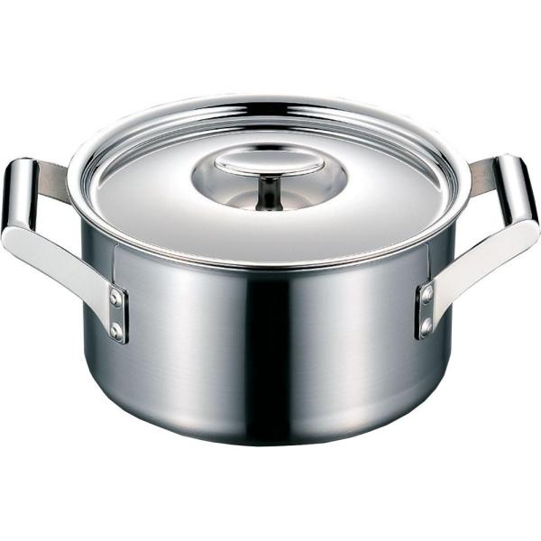 フジノス エレックマスタープロ(IH対応) 20cm両手深鍋 116093