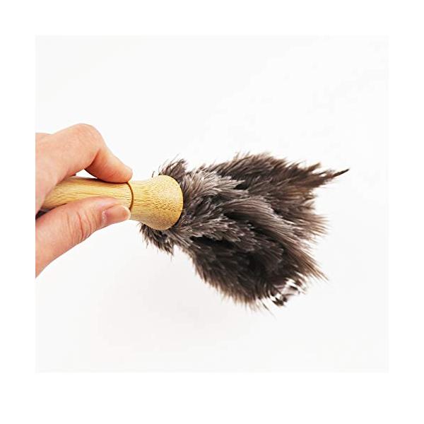 ダルトン(Dulton) ほこり取り フェザー ダスター ミニ グレー 長さ205mm FEATHER DUSTER MINI GRAY H20
