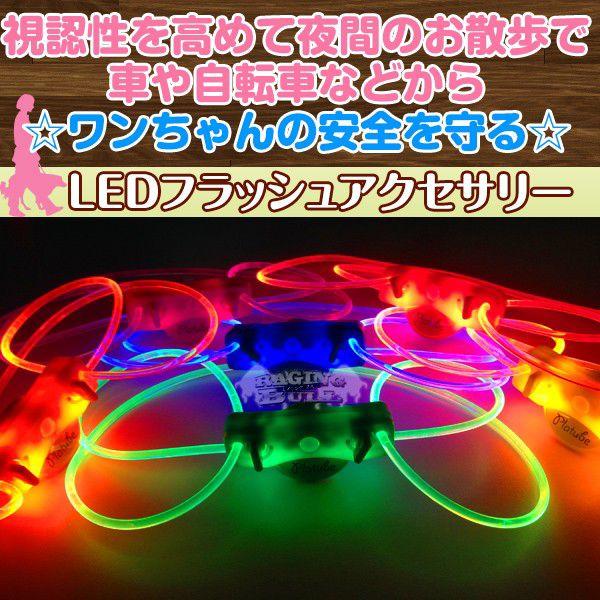 LEDCgtbVtANZT[`[u@yCG[Epz@ԂSɂU