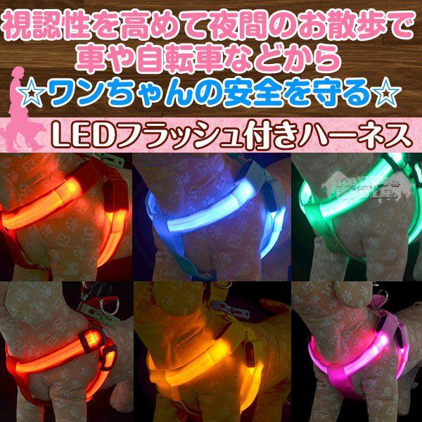 LEDCgtbVtn[lXEց@yCG[Epz@ԂSɂU