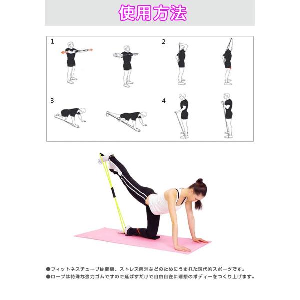 フィットネスチューブ 筋力トレーニング ダイエット エクササイズグッズ 女性用 体幹トレーニング ゆうパケットで送料無料 Rim Hc 1596 Buyee Buyee 日本の通販商品 オークションの代理入札 代理購入