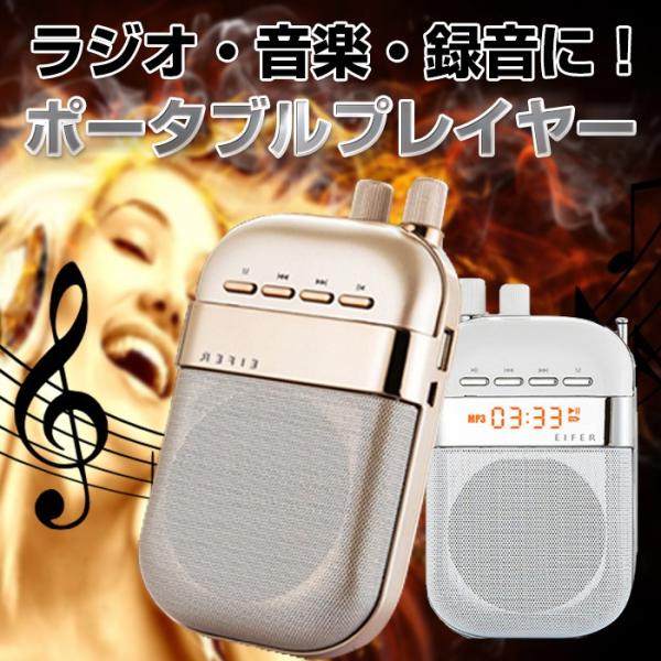 ポータブルプレイヤー ラジオ 音楽 録音 野外 デジタル画面 Sdカード Usb保存 オシャレ オーディオ スピーカー Rim Ls T011 Buyee Buyee Japanese Proxy Service Buy From Japan Bot Online