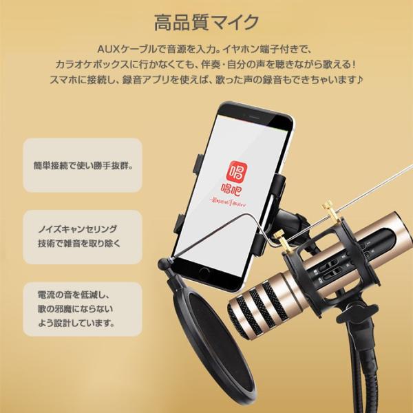 どこでも歌える カラオケマイク 高音質 Aux 音源入力 イヤホン接続 声を聴きながら歌える スマホ 録音対応 ヒトカラ練習 ノイズキャンセリング Rim Bgn C6 Buyee Buyee 日本の通販商品 オークションの代理入札 代理購入