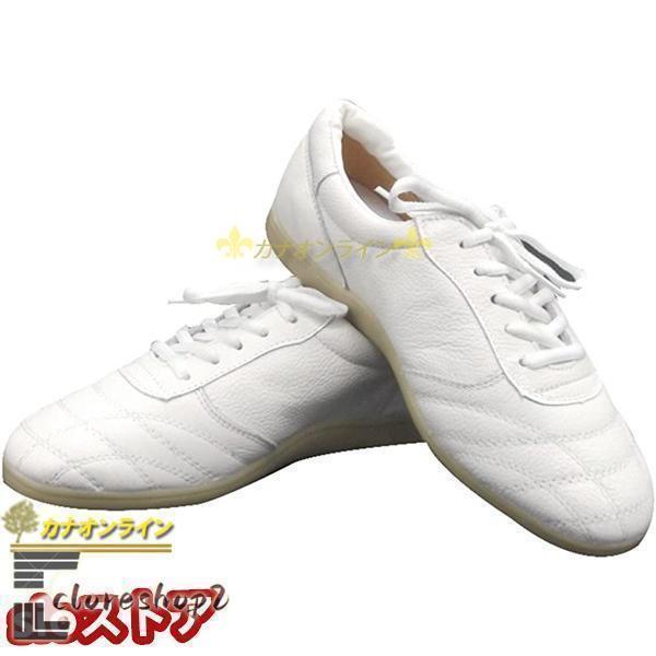 ウーシュー 太極拳シューズ 武術 靴 ソフトレザー スニーカー 牛筋ソール カンフー テコンドー 気功 少林寺拳法 男女兼用 白