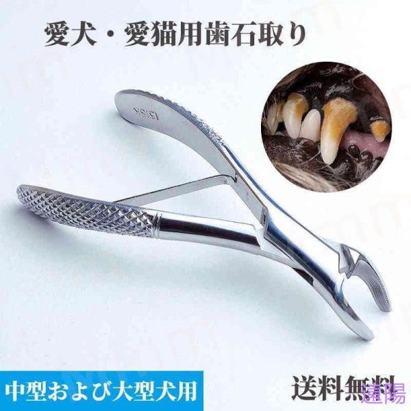 今、愛犬愛猫の歯石問題でお悩みの方が急増 しています。歯石は、放っておくと口臭だけではなく、歯肉炎等引き起こし、愛犬愛猫の健康に多大な影響を及ぼします。一度ついてしまった歯石はハミガキで取り除くことはできません。かといって、放っておくとます...