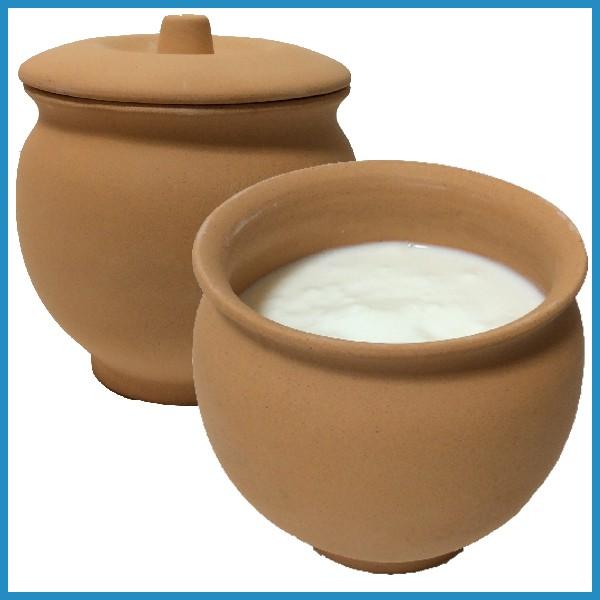 素焼きヨーグルトメーカー 日本製 常滑焼 手作り テラコッタ 壺 Vs 00 ダヒヨーグルト種菌通販レインビオ 通販 Yahoo ショッピング